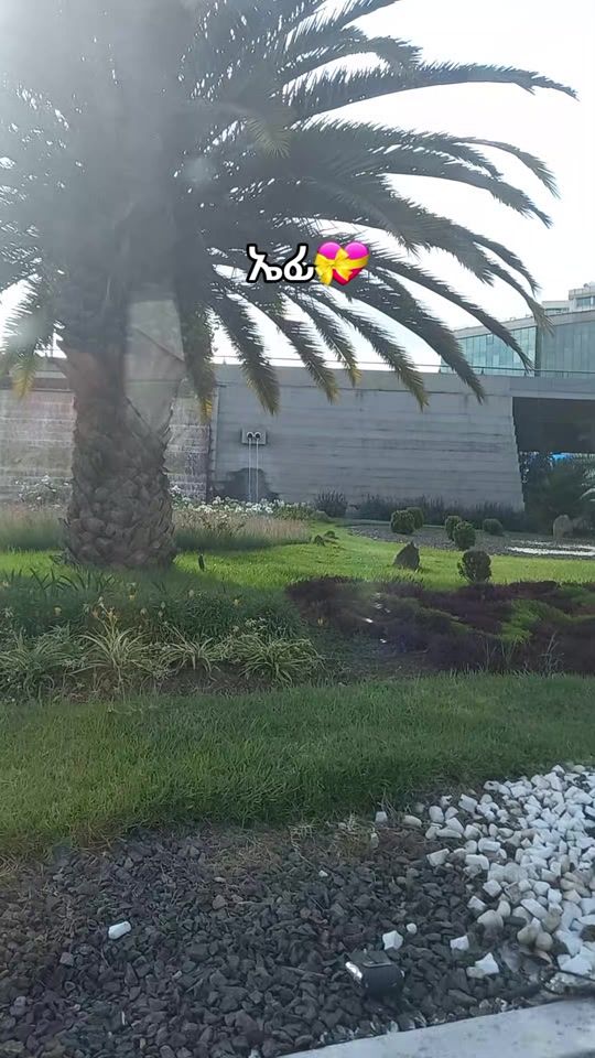 TikTok video thumbnail by sykhhk