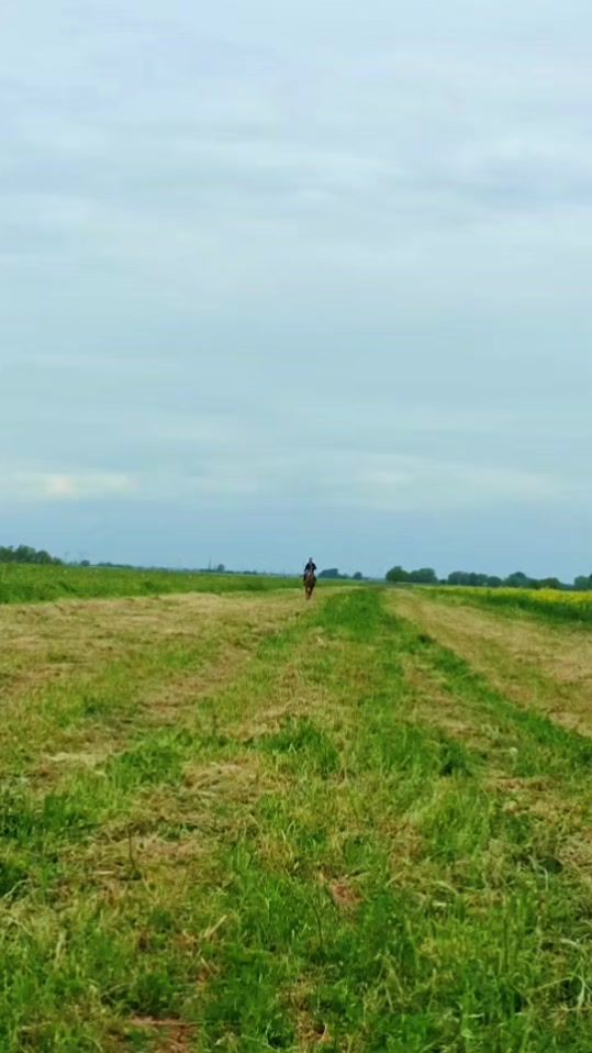 TikTok video thumbnail by xxss_147
