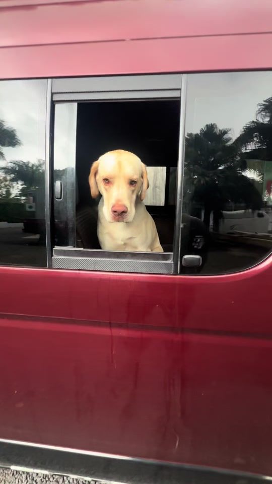 TikTok video thumbnail by alvinzikky