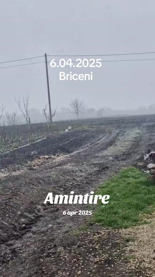 TikTok video thumbnail by vadimtimoftica0