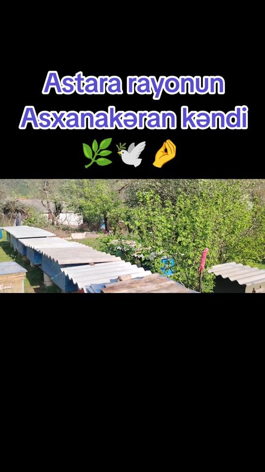 TikTok video thumbnail by israil_hasanzade.062