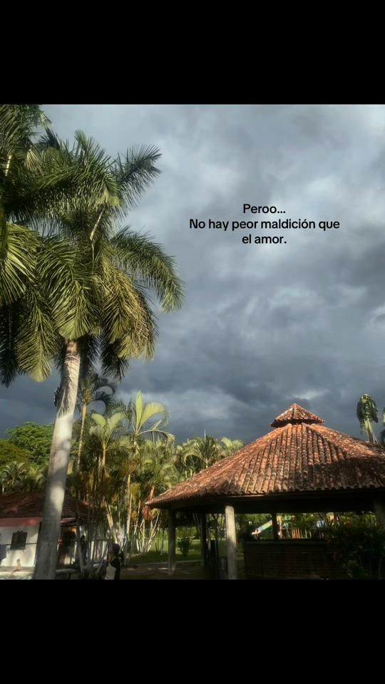 TikTok video thumbnail by emersonvolveras0