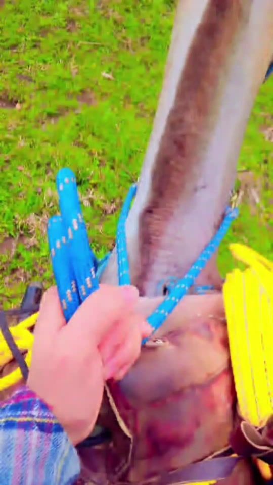 TikTok video thumbnail by florest128
