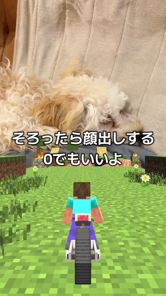 TikTok video thumbnail by udon603