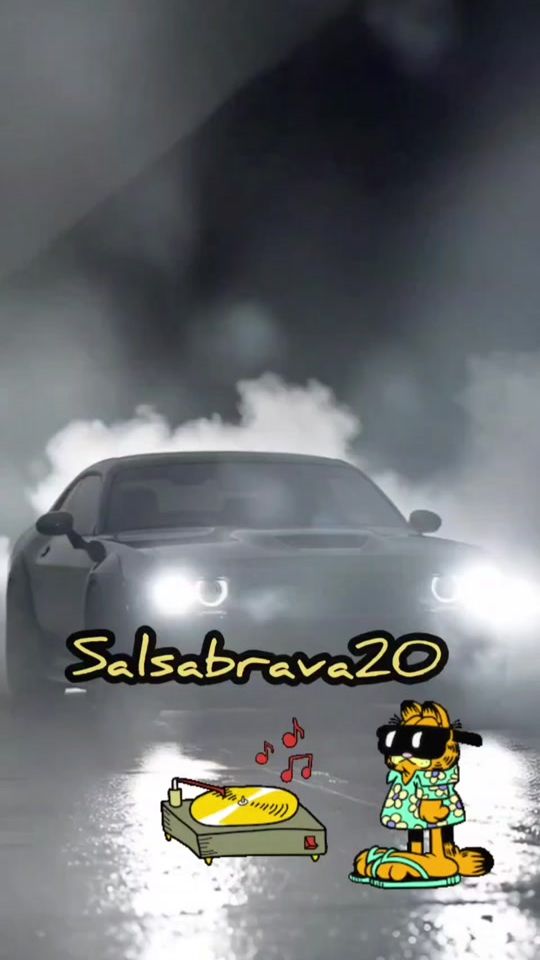TikTok video thumbnail by salsabrava20
