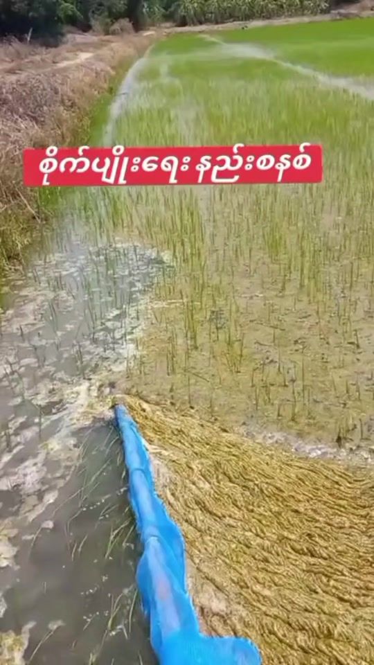 TikTok video thumbnail by transformnaylin