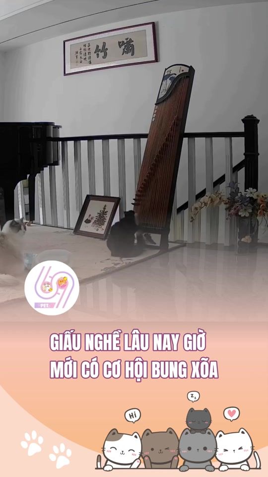TikTok video thumbnail by 69s.pet