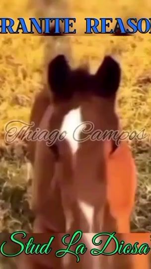 TikTok video thumbnail by tiagoramirez6