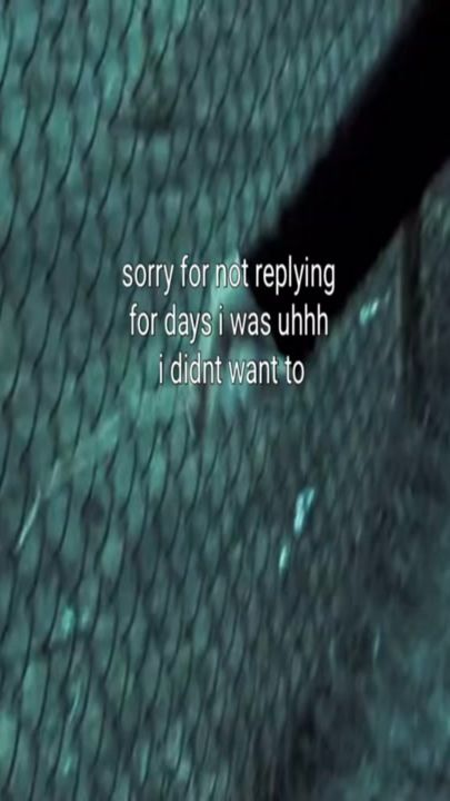 TikTok video thumbnail by twirlotus5