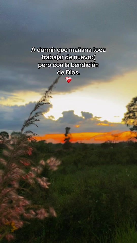 TikTok video thumbnail by davmo90