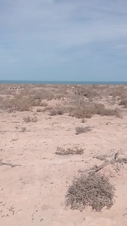 TikTok video thumbnail by djerb78