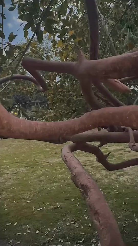 TikTok video thumbnail by ishaaa3254