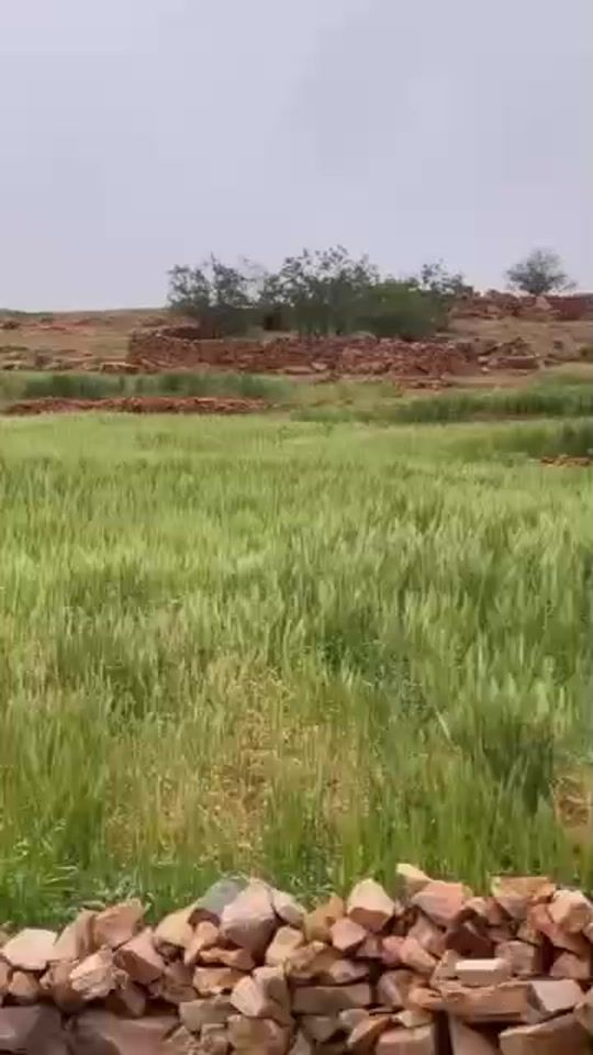 TikTok video thumbnail by qfatimat