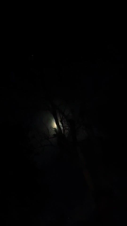 TikTok video thumbnail by syousetsu__