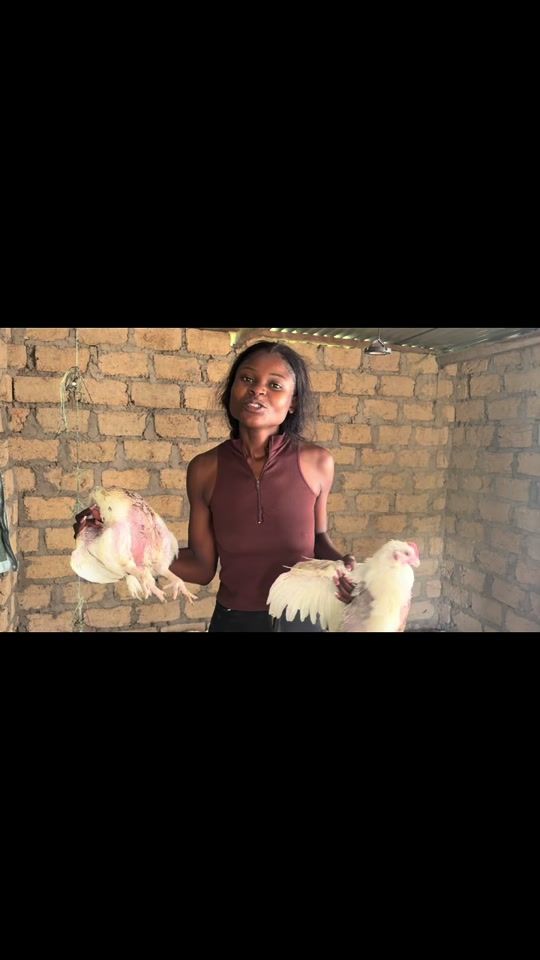 TikTok video thumbnail by elizabethmwansathefarmer
