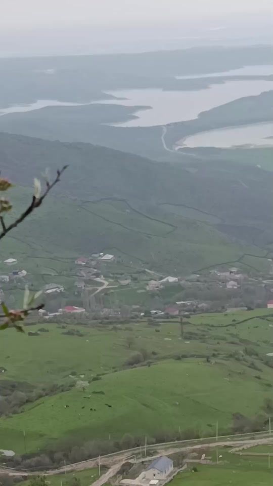 TikTok video thumbnail by qalaalti
