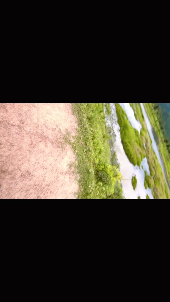 TikTok video thumbnail by momsly20