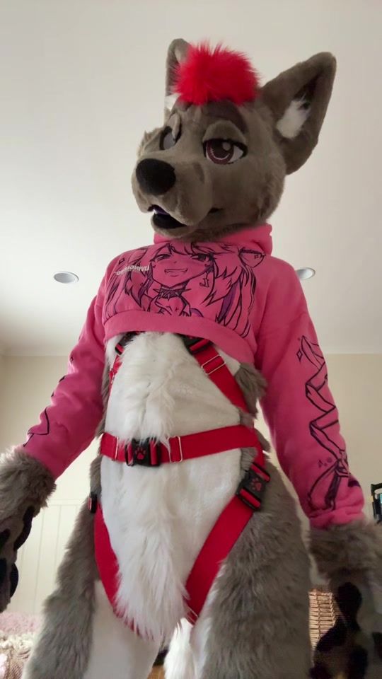 TikTok video thumbnail by deluxecanine