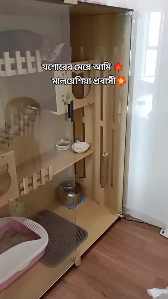 TikTok video thumbnail by adhora_islam_91