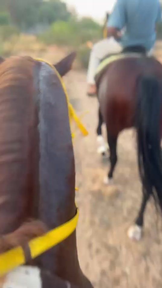 TikTok video thumbnail by algmati__93