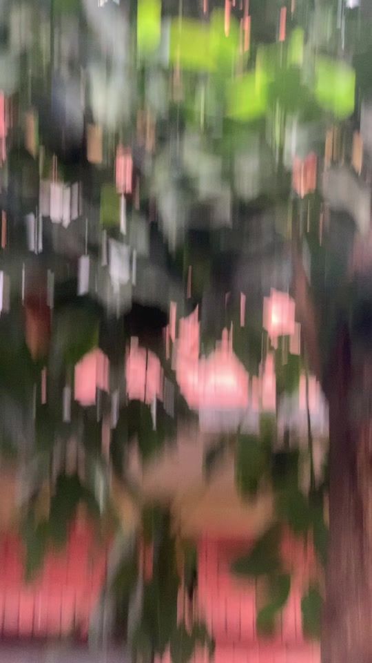 TikTok video thumbnail by bikash_khanal_1
