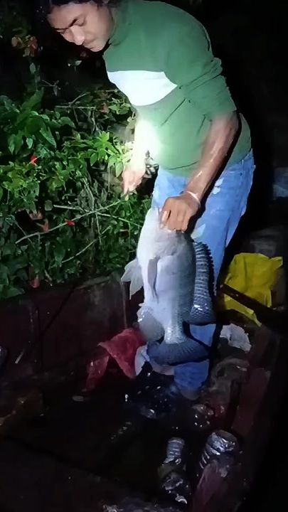 TikTok video thumbnail by rajesh.stha97