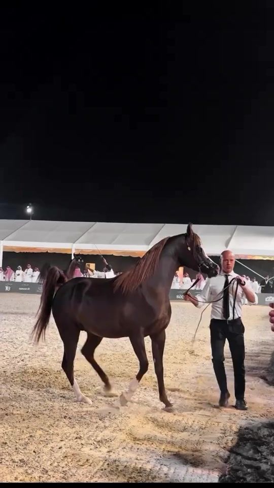 TikTok video thumbnail by khayal7117329394124
