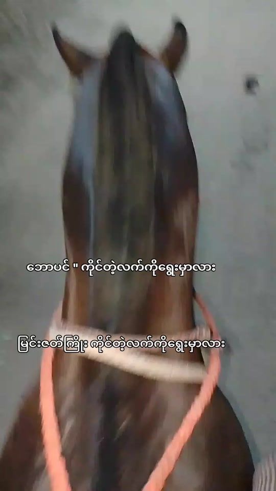 TikTok video thumbnail by mg.bhone.16