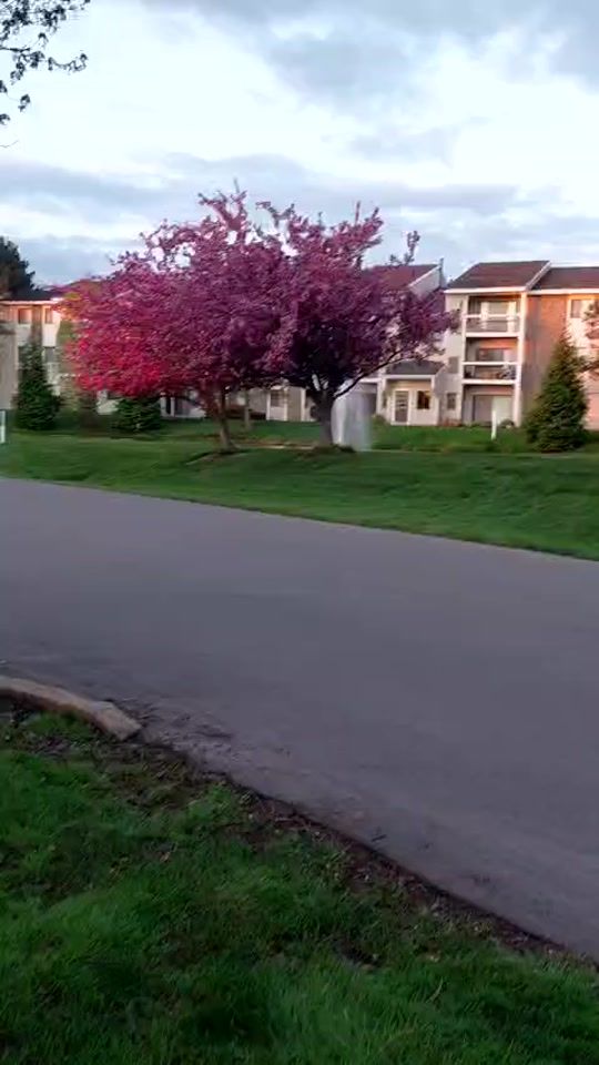 TikTok video thumbnail by 784gladys