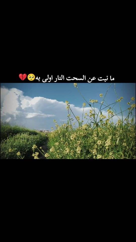 TikTok video thumbnail by ah.md20_