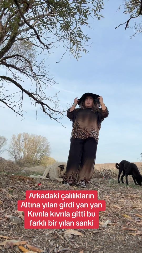 TikTok video thumbnail by yabanigull