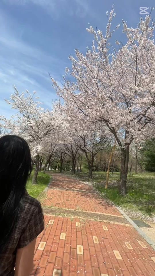 TikTok video thumbnail by user673702377653