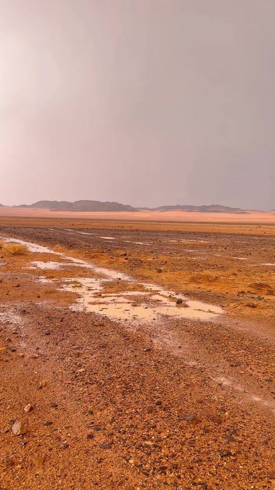 TikTok video thumbnail by 5nn14