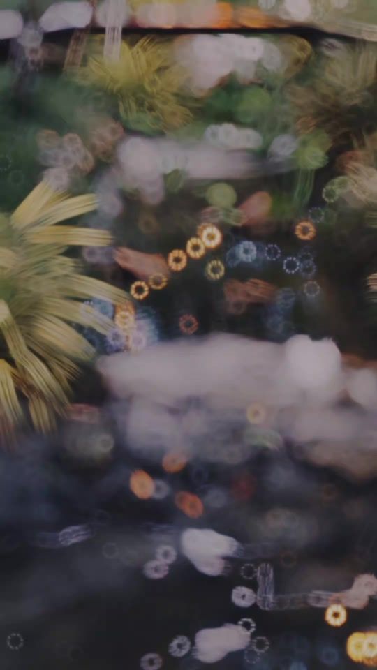 TikTok video thumbnail by baan_peecamping