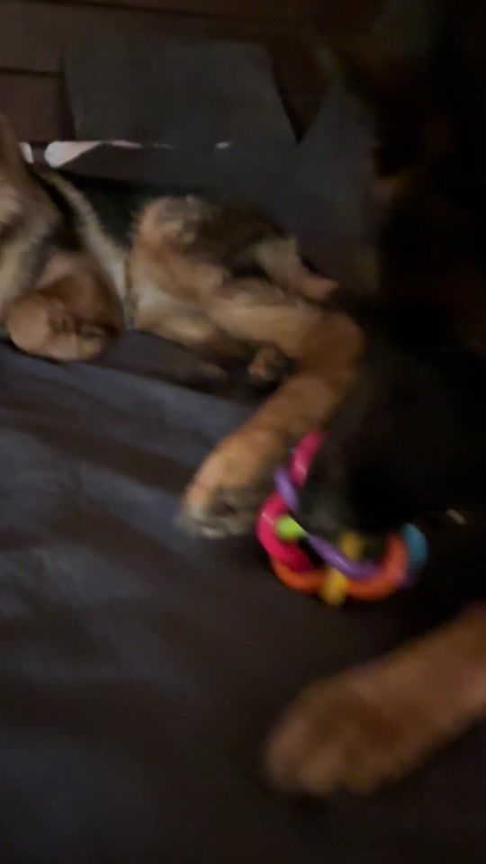 TikTok video thumbnail by gabbi_marusya