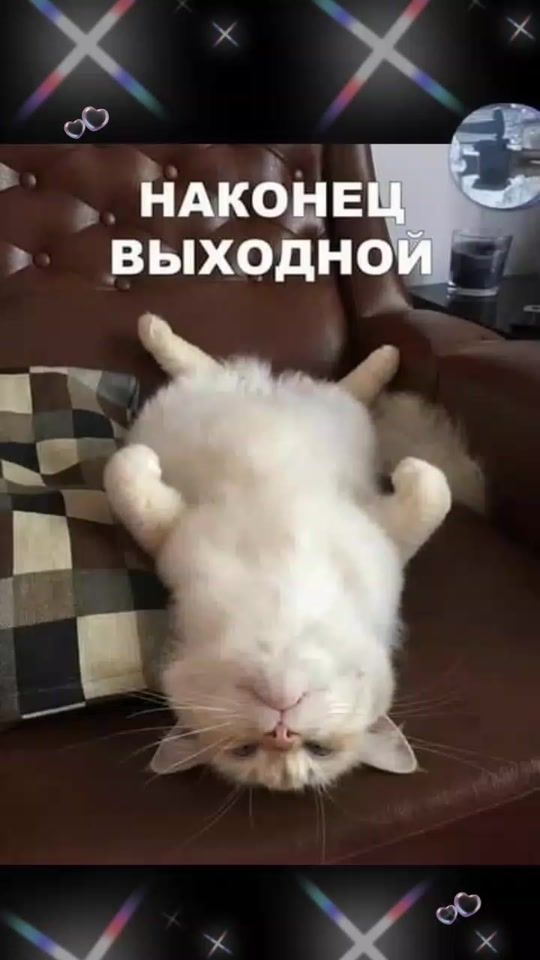 TikTok video thumbnail by elena196603.1