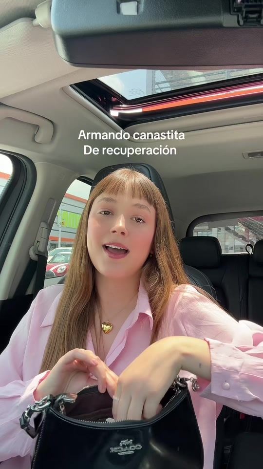 TikTok video thumbnail by adelizlujan
