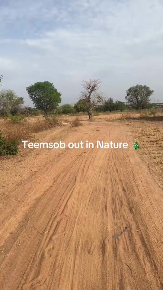 TikTok video thumbnail by weedabes