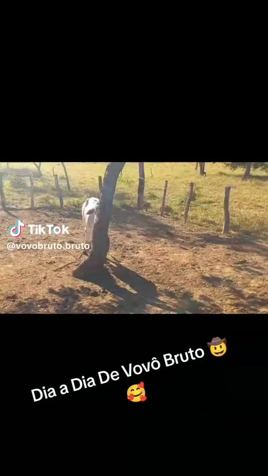 TikTok video thumbnail by williansouza2979