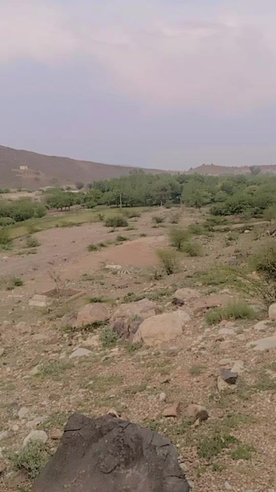 TikTok video thumbnail by manshadawar