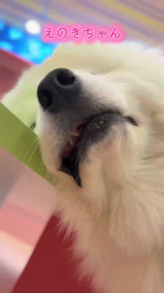 TikTok video thumbnail by smile09351