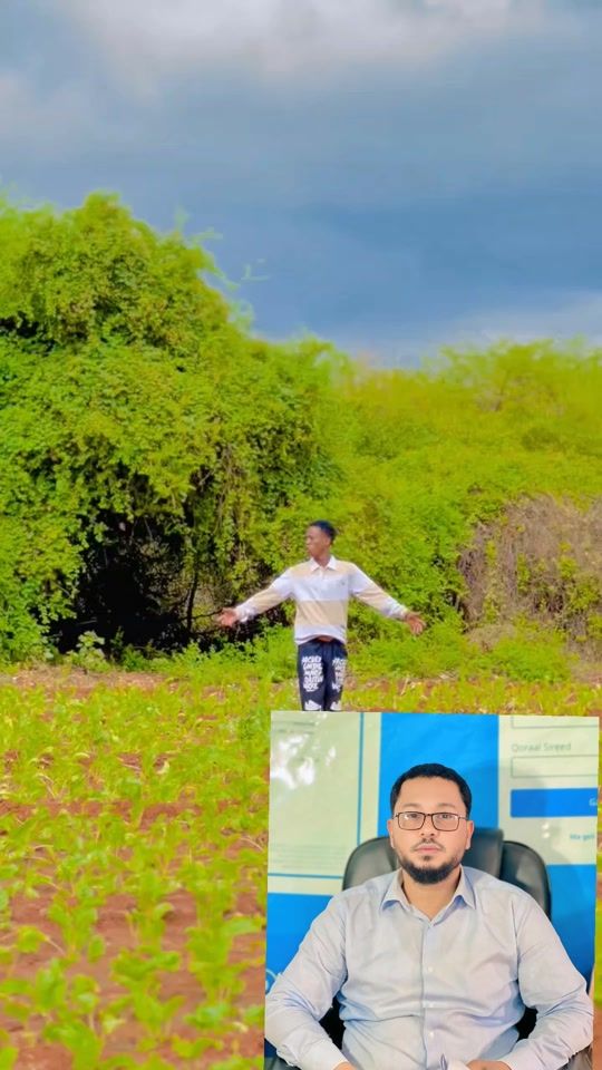TikTok video thumbnail by wanaa___cade