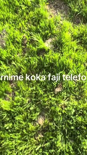 TikTok video thumbnail by altdrini