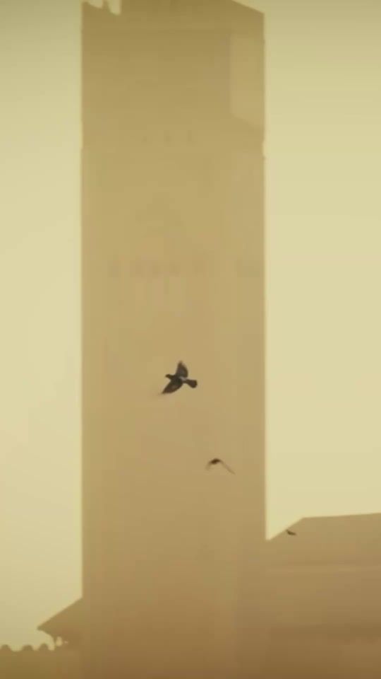 TikTok video thumbnail by art.newsss