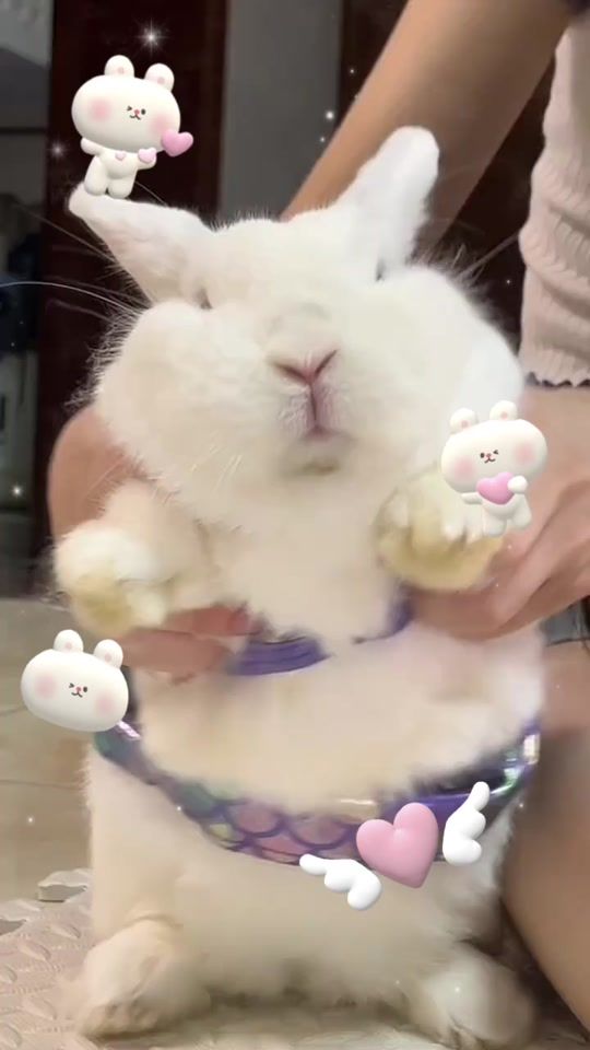 TikTok video thumbnail by marsh.mallow273