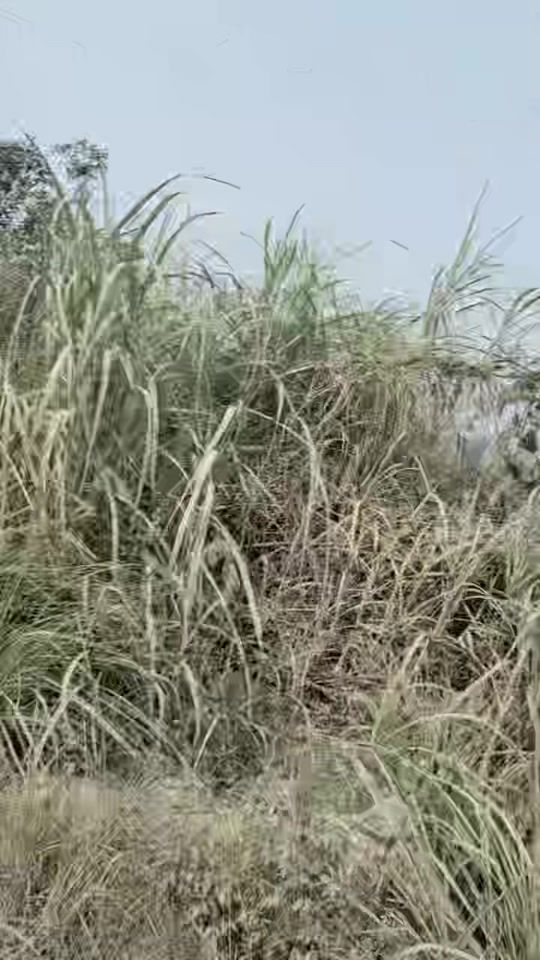 TikTok video thumbnail by ehhietue8ieh