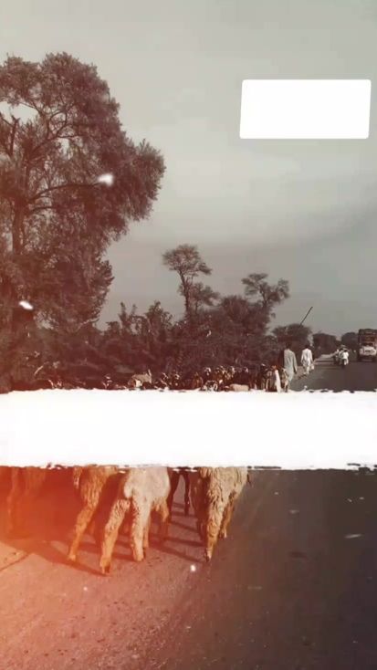 TikTok video thumbnail by saraiki_graphi69
