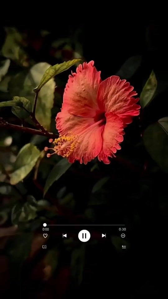 TikTok video thumbnail by mmrkuwait