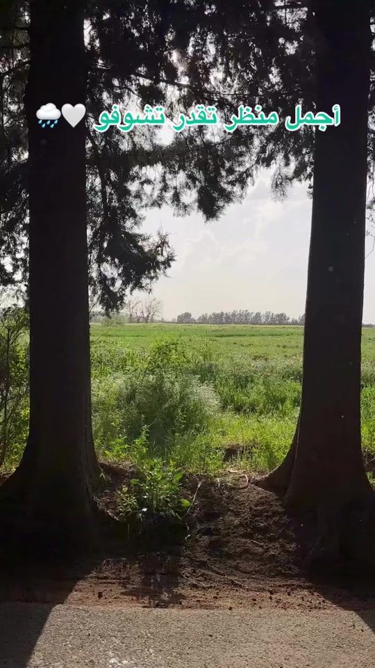 TikTok video thumbnail by aventur_dz
