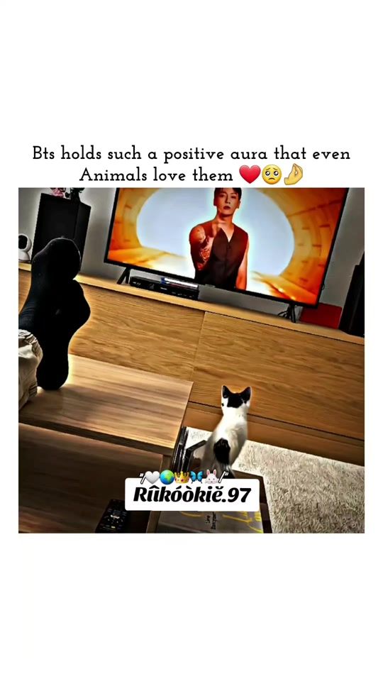 TikTok video thumbnail by riikook.97